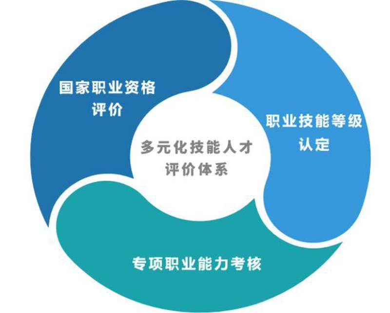 人才技能评价