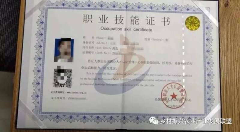 职业技能评价：构建新时代人才成长“高速路”