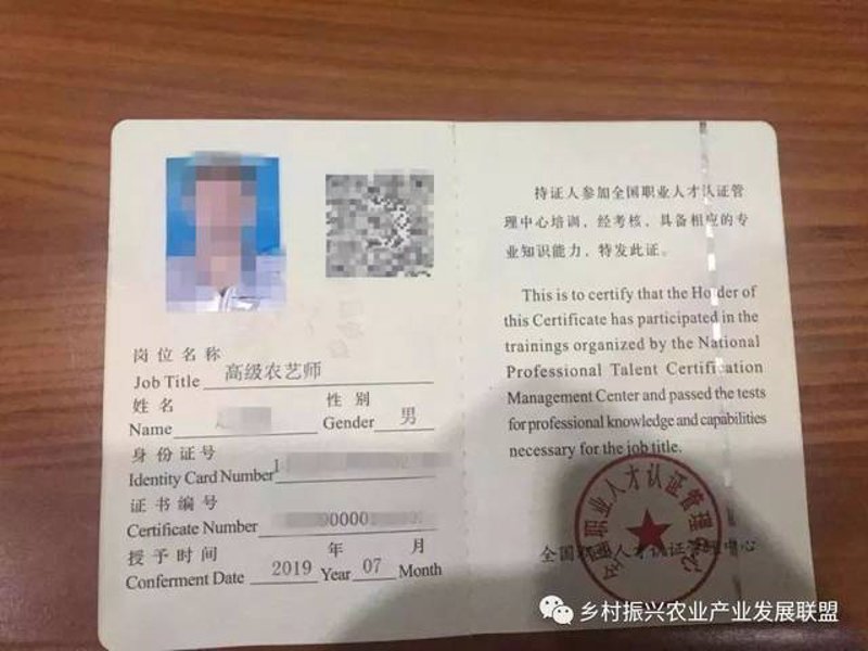 职业技能鉴定：点亮职业生涯的明灯