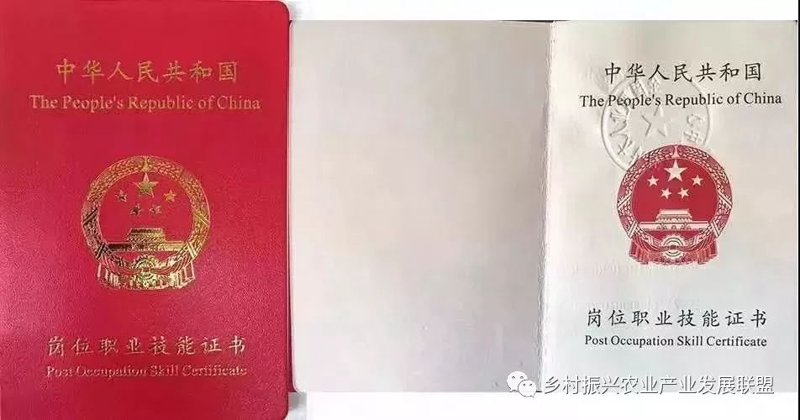 职业认证:开启职业生涯新篇章的钥匙